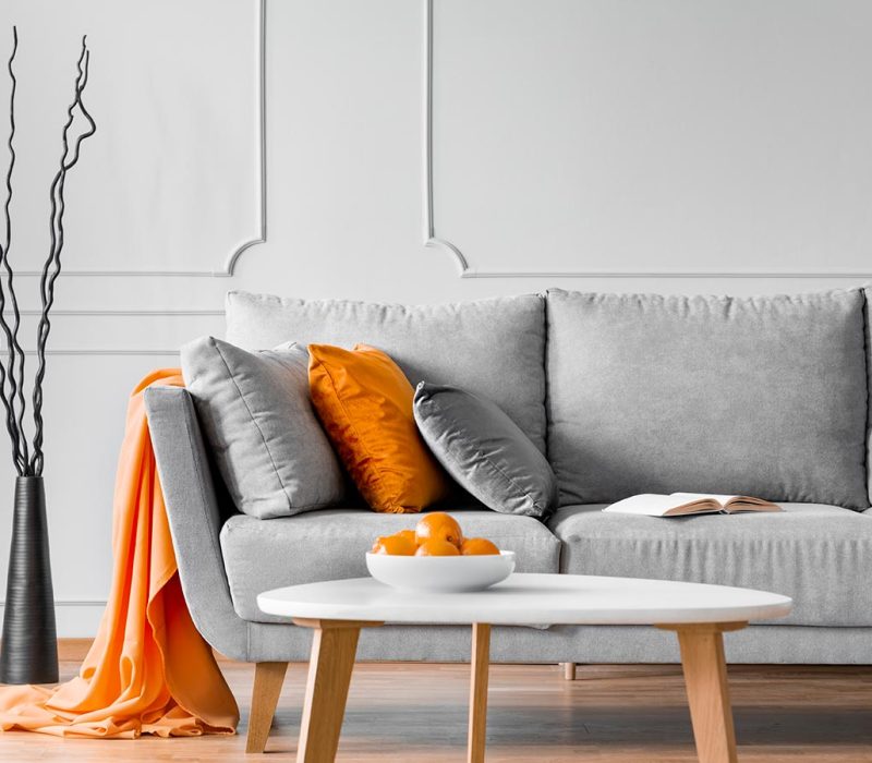 Branches next to a sofa with orange blanket and pillow in a livi